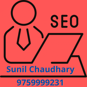SEO Expert Sunil Chaudhary Digital Marketer Aligarh India